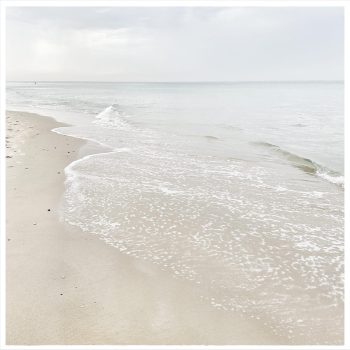 sea no.6