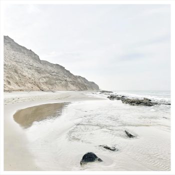 sea no.8