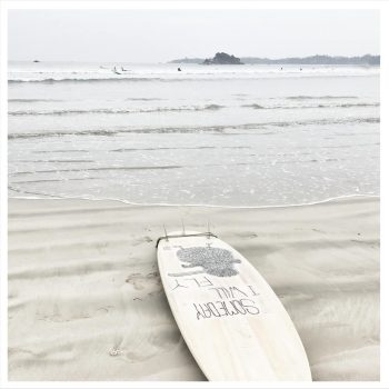 sea no.9
