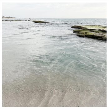 sea no.10