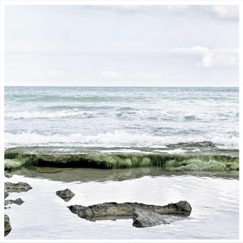 sea no.11